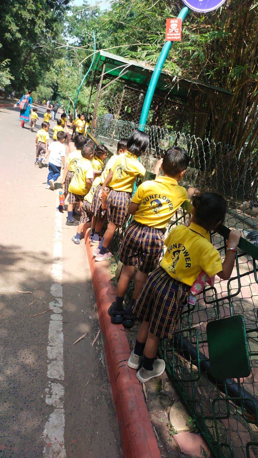 Children on a nature and field trip